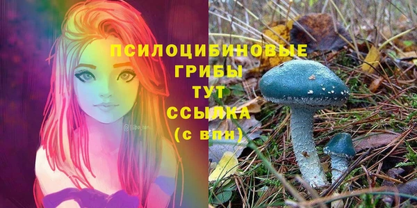 экстази Алзамай