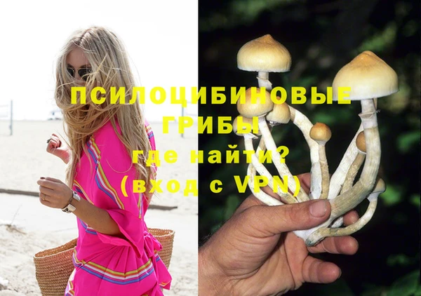 молекула духа Алексеевка