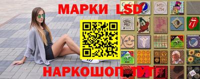 стаф Нальчик