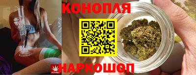 стаф Нальчик